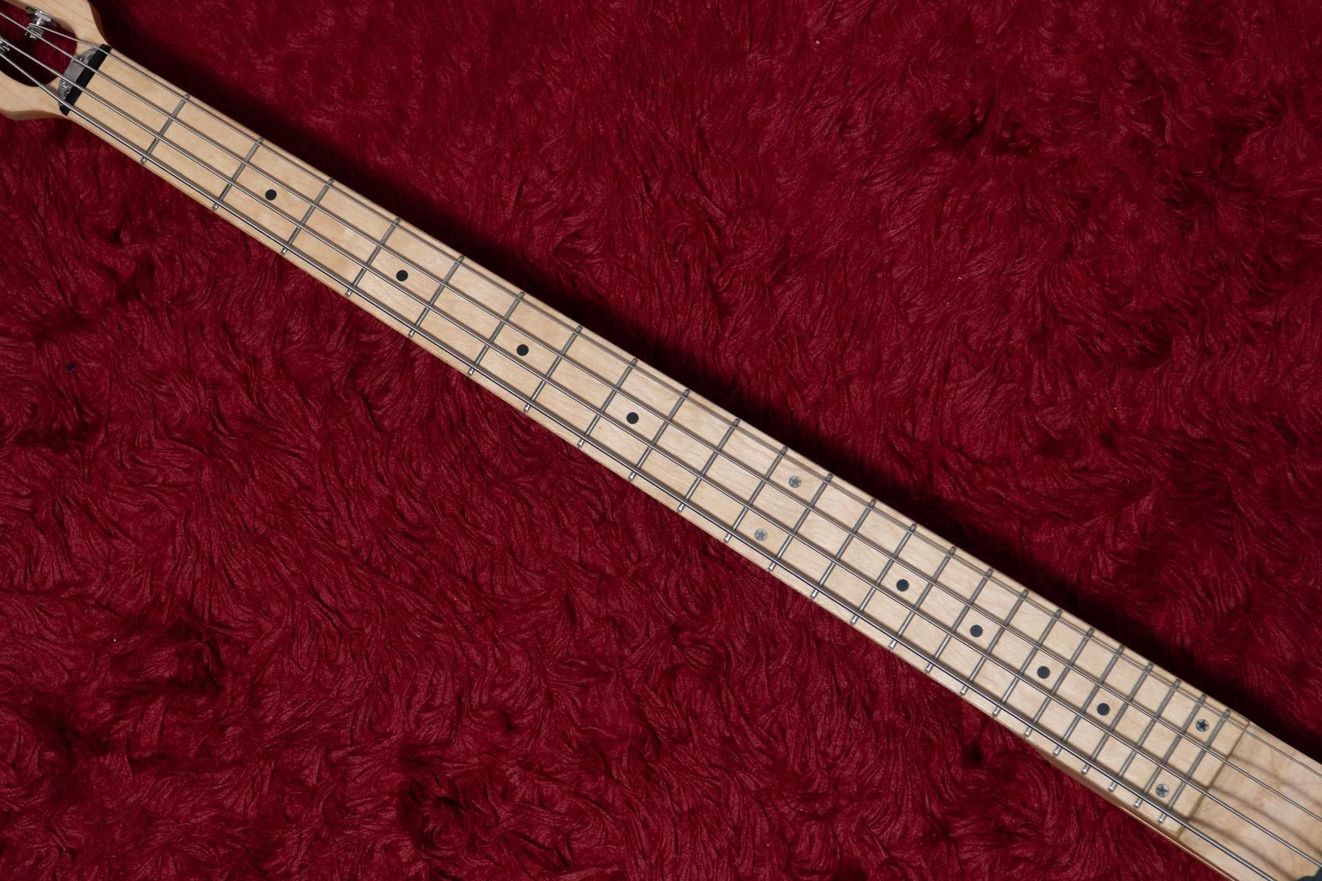 used】MINISTAR / BASSTAR 1.855kg #MU80400507【GIB横浜】 - Geek IN Box