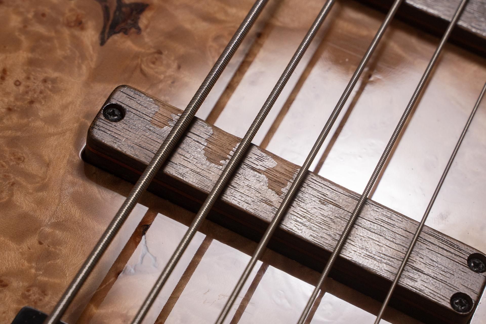 dragofly IL CUORE ギター dragonfly IL COURE 5ST | ワタナベ楽器店 京都本店