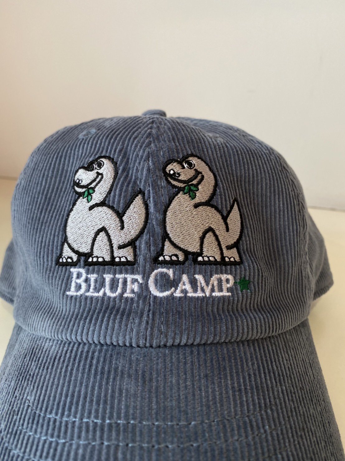 BLUFCAMP<br />Embroidered Corduroy CAP / Smoke Blue<img class='new_mark_img2' src='https://img.shop-pro.jp/img/new/icons14.gif' style='border:none;display:inline;margin:0px;padding:0px;width:auto;' />