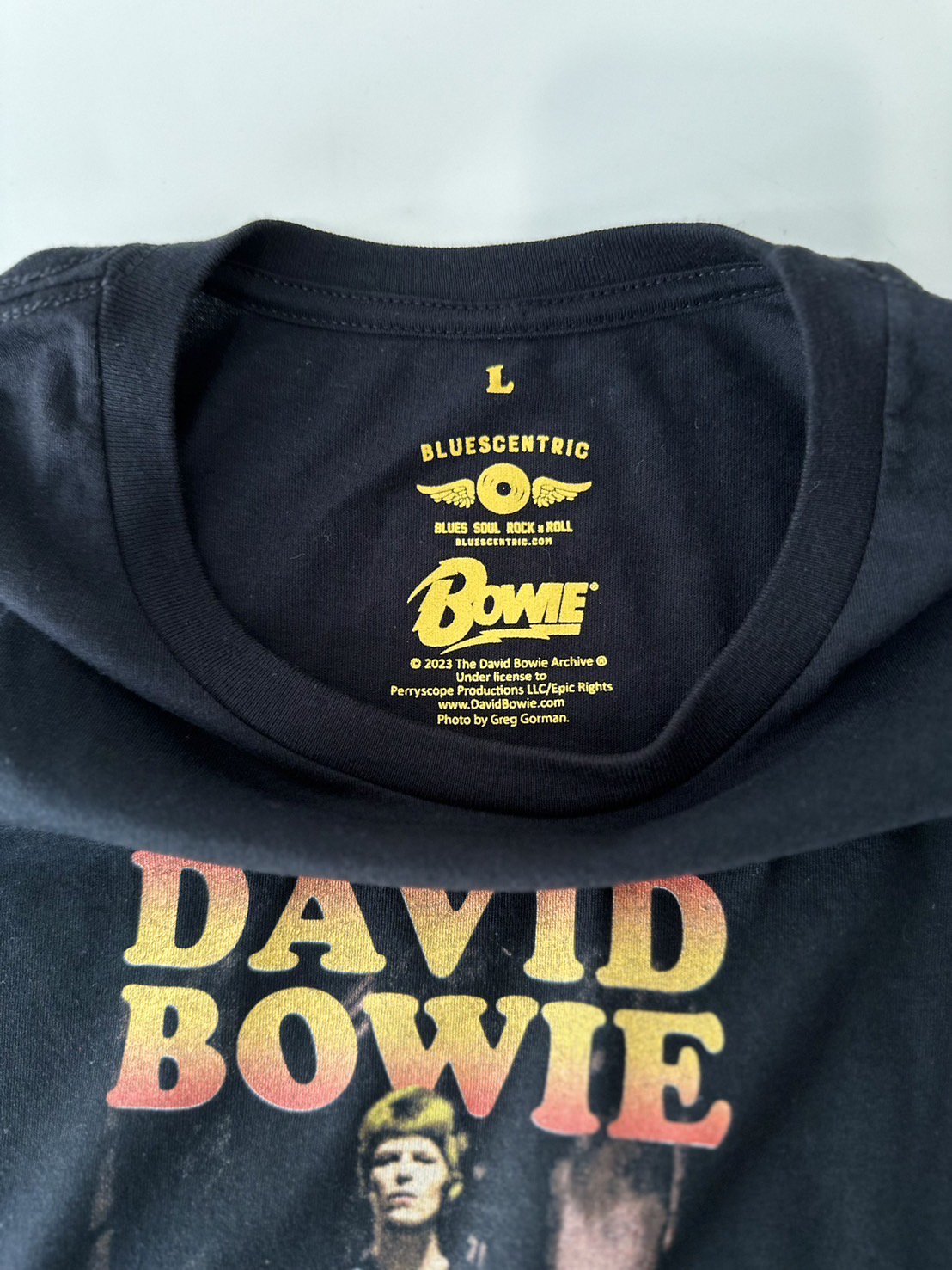 BLUESCENTRIC<br />DAVID BOWIE ZIGGY STARDUST  VINTAGE TEE / BLACK<img class='new_mark_img2' src='https://img.shop-pro.jp/img/new/icons47.gif' style='border:none;display:inline;margin:0px;padding:0px;width:auto;' />