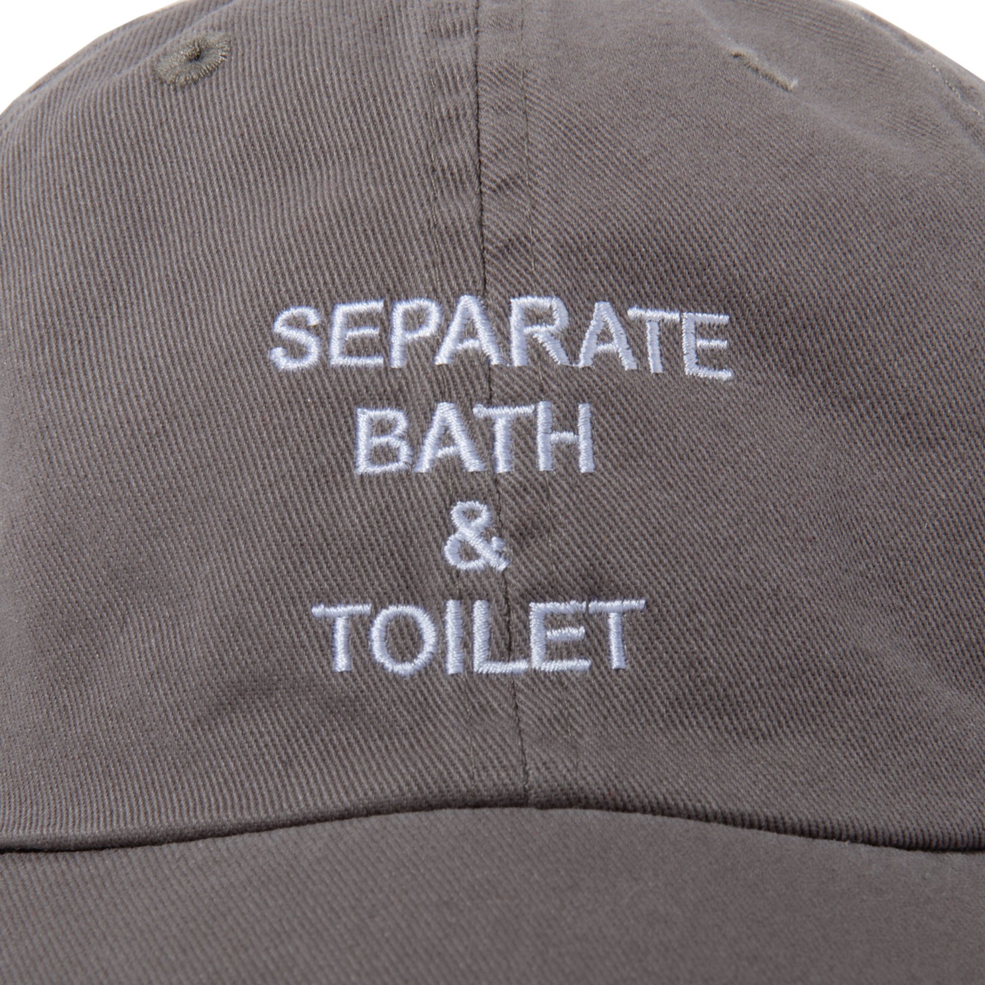 SEPARATE BATH & TOILET<br />6PANNEL CAP2 / GRAY<img class='new_mark_img2' src='https://img.shop-pro.jp/img/new/icons14.gif' style='border:none;display:inline;margin:0px;padding:0px;width:auto;' />