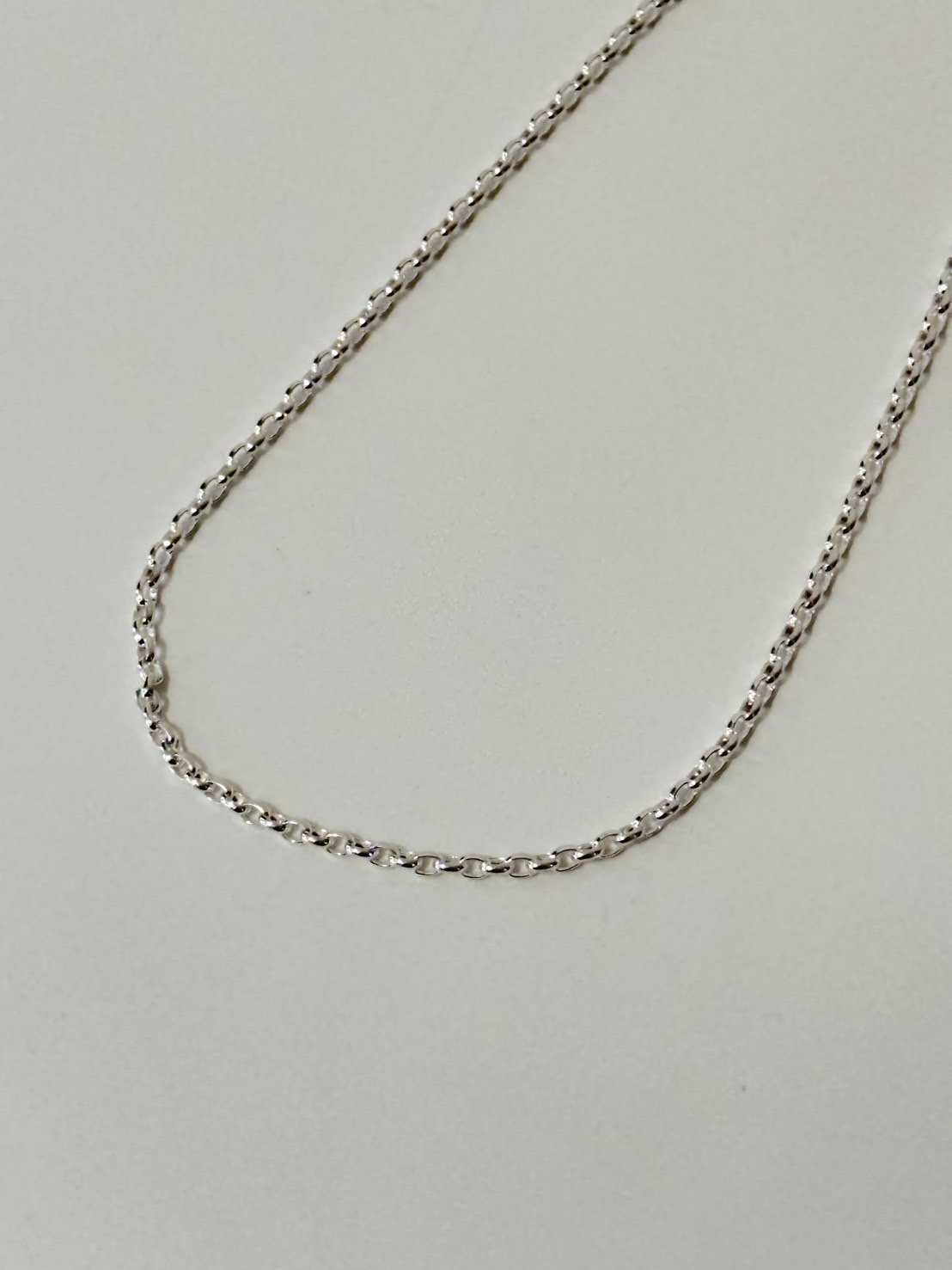 JieDa<br />925 SILVER NECKLACE / SILVER<img class='new_mark_img2' src='https://img.shop-pro.jp/img/new/icons14.gif' style='border:none;display:inline;margin:0px;padding:0px;width:auto;' />