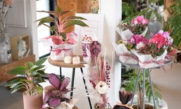 観葉植物・生花・ドライフラワー通販 SULK GREEN