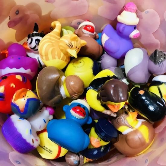 ラバーダック おまかせ1つ 輸入雑貨/海外雑貨/直輸入/アメリカ