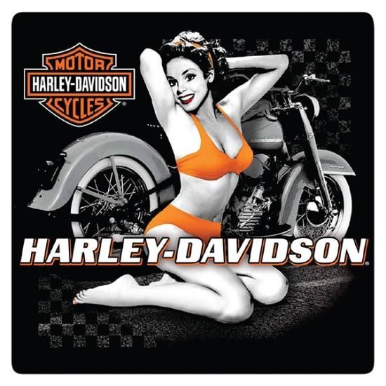 エンボスメタルサイン H-D FLASH BABE ハーレーダビッドソン