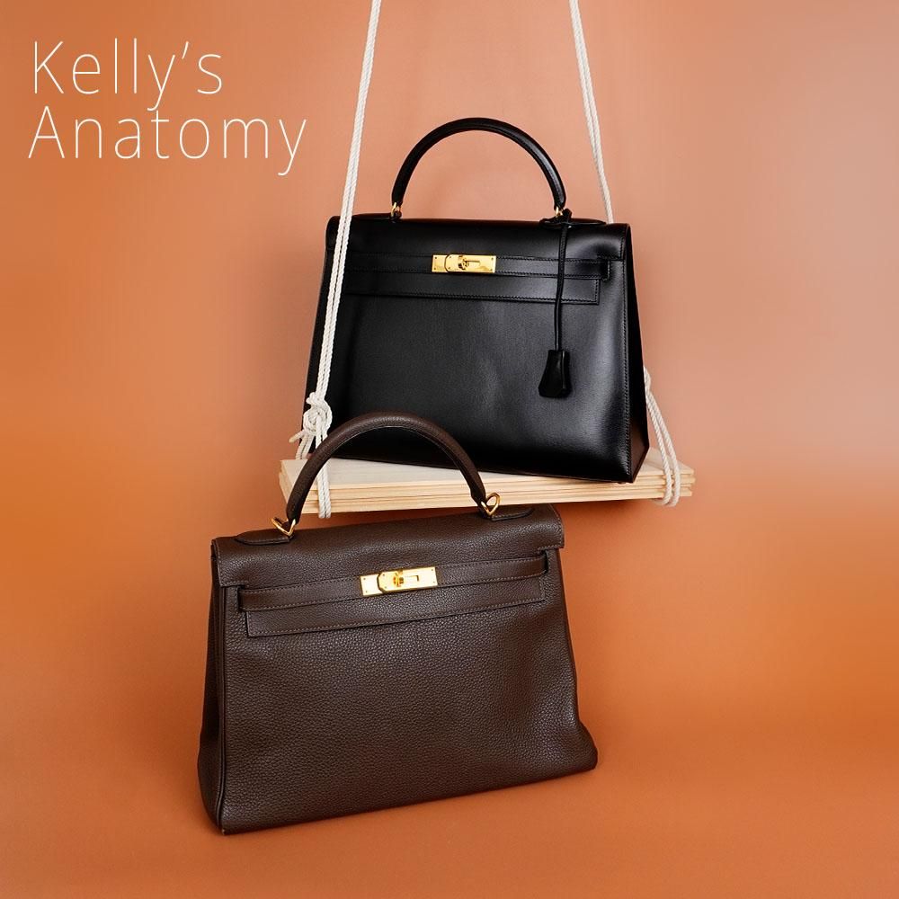 Kelly’s Anatomy エルメス ケリーの歴史