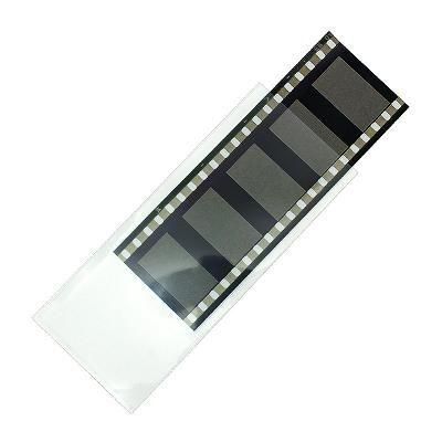 いしのようこネガフィルム12コマ Amazon | カラーネガフィルム12/24/36枚撮 カメラ用カラー