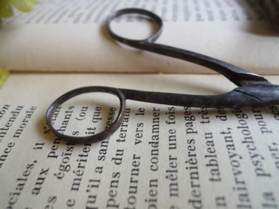 アンティーク ケース付きハサミ ⑅︎* 71CRMoxkoRL._AC_UF350,