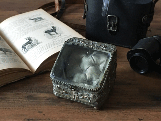アンティークジュエリーボックス フランス 懐中時計用ガラスケース アンティーク雑貨通販ショップclotte