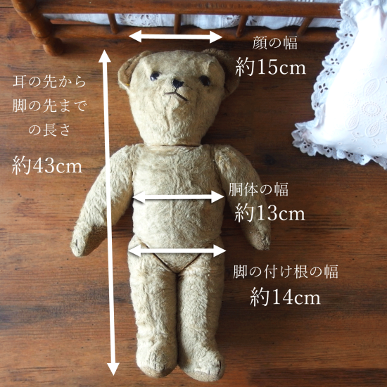 アンティーク テディベア | フランス テディベア グラスアイ アンティーク テディベア | フランス テディベア グラスアイ