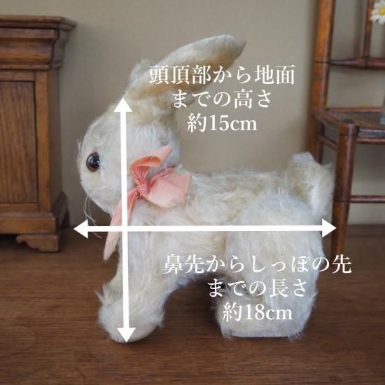 ͥ