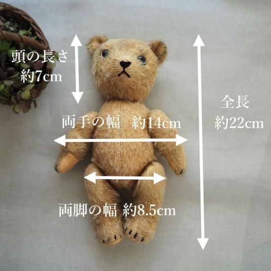 アンティーク テディベア | フランス ベージュ色のテディベア 5