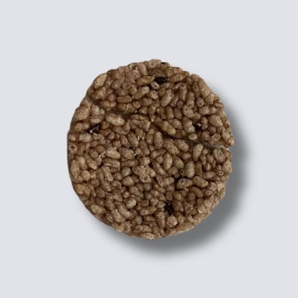 ピアノムシが孵ったら / bassy / Annabel / セリユ/ 茶太 TOP - bassy official website