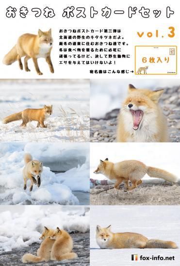 キツネポストカードセット第三弾 野生のキツネ 冬の北海道キタキツネ キツネグッズショップ キツネ写真館