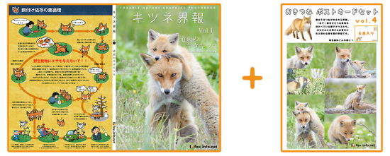 キタキツネ写真集 キツネ界報 Vol 1 道東のキタキツネ キタキツネポストカードセット キツネグッズショップ キツネ写真館 キタキツネ写真集 キツネ界報 Vol 1 道東のキタキツネ キタキツネポストカードセット キツネグッズショップ キツネ写真館