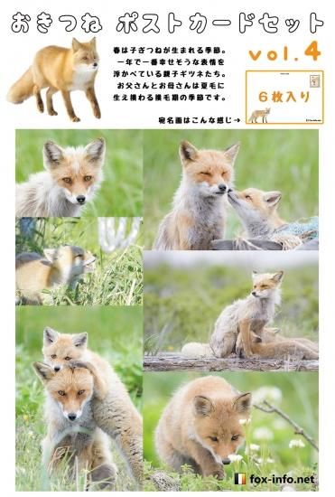 キツネポストカードセット第四弾「春の親子ギツネ」 | キツネ
