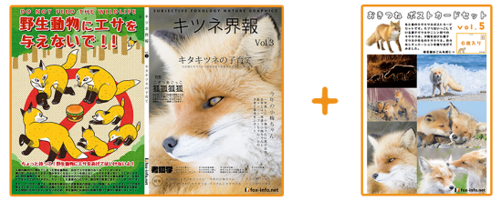 キタキツネ写真集 キツネ界報 Vol 3 キタキツネの子育て キタキツネポストカードセット キツネグッズショップ キツネ写真館