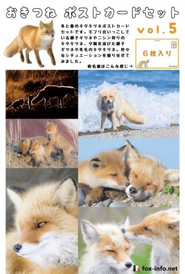 Amazon.co.jp: 北海道限定・北キツネぬいぐるみ☆S・縦16センチ