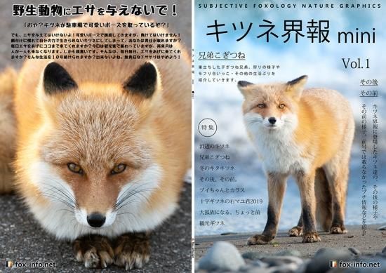 キタキツネ写真集 キツネ界報 Mini Vol 1 キツネグッズショップ キツネ写真館