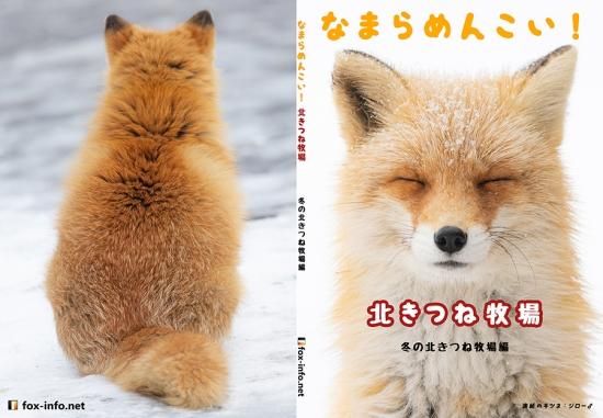 キタキツネ写真集 なまらめんこい 北きつね牧場 冬の北きつね牧場編 キツネグッズショップ キツネ写真館