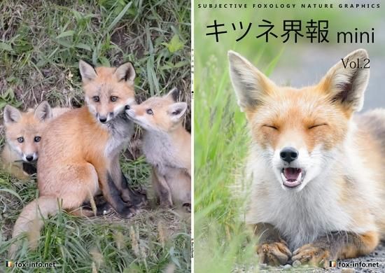 キタキツネ写真集「キツネ界報」mini Vol.2 | キツネグッズ