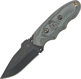 167932558