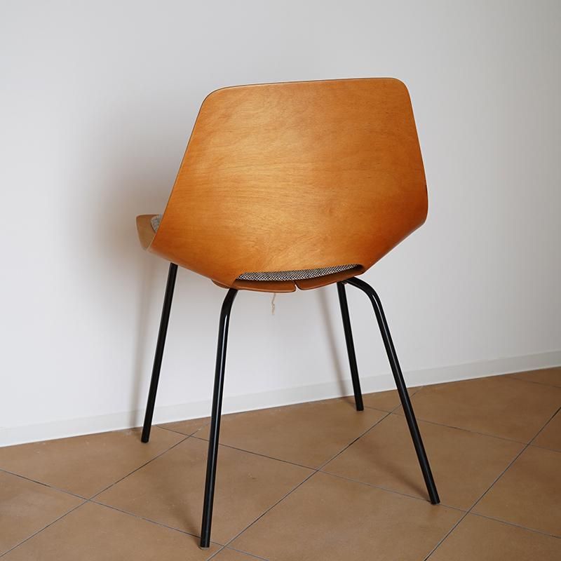 Pierre Guariche Tonneau Chair / 1950s / France - THIRTY Pierre Guariche Tonneau Chair / 1950s / France - THIRTY