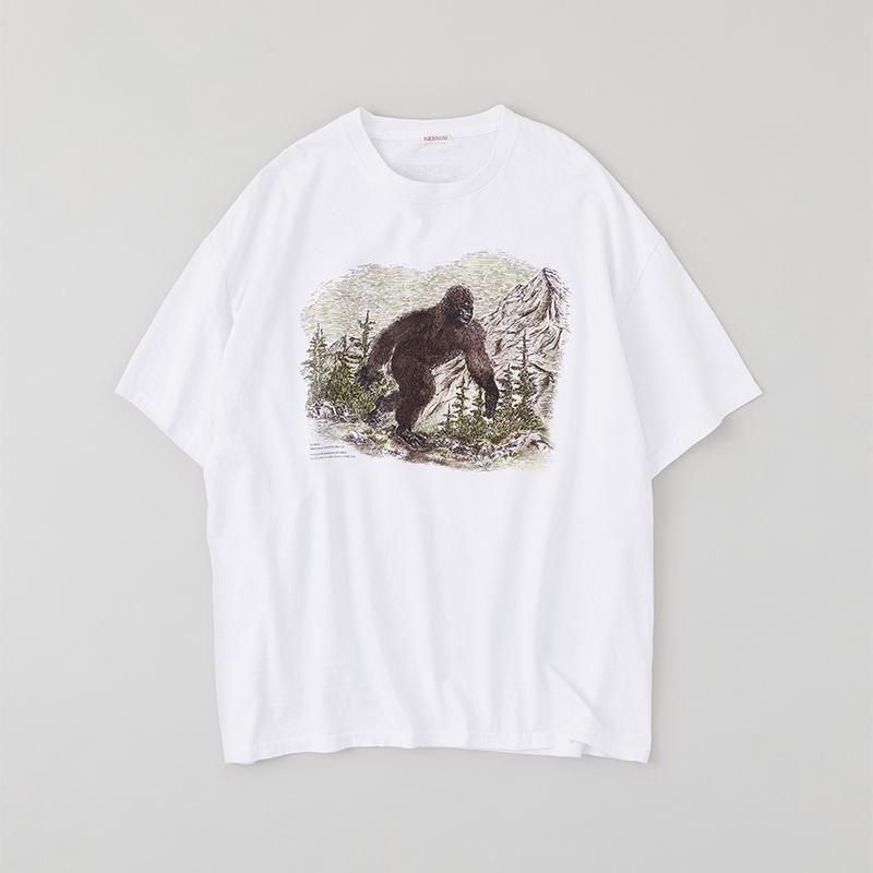 niceness ナイスネス Photo tee L tシャツ 8/7(木)在庫追加】【8/2(土)12:00販売開始】【2025 A/W