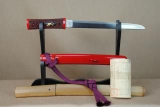 【希少 美品】全日本居合道刀法　解説　　池田 隆 聖昴 著　DVD付 鑑賞用刀剣 - 日本刀｜刀剣や居合道着の通販なら池田美術 居合刀