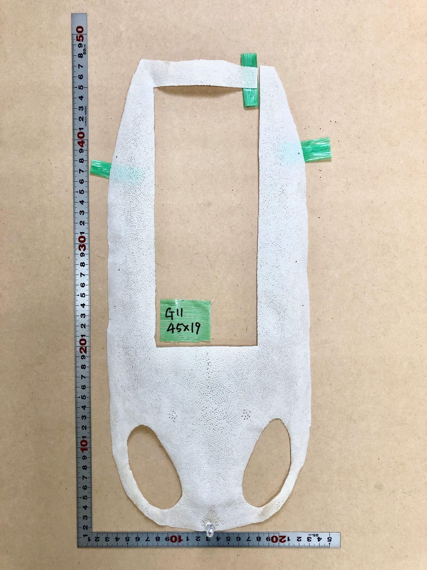 本サメ エイ皮 G11番 本サメ エイ皮 G11番