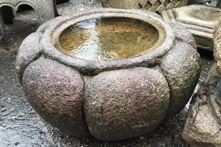 µÆÈ Çò¸æ±ÆÀÐ