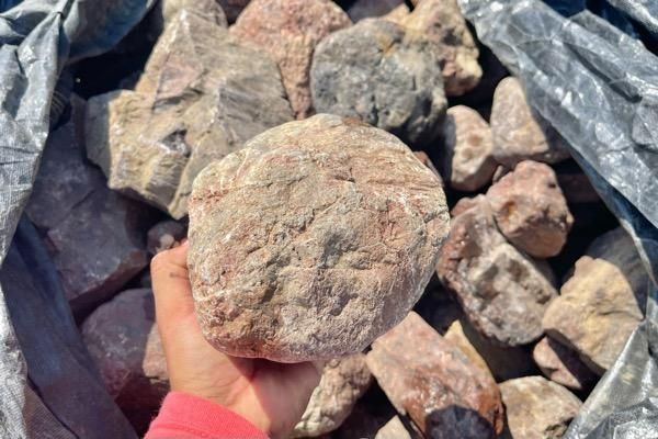 赤石 鑑賞用 揖斐赤石 ごろた石＜価格,サイズ,色＞数量限定！｜庭ガーデニングの粋