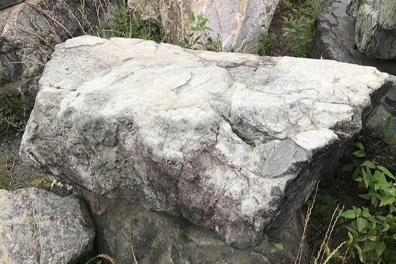ͬ