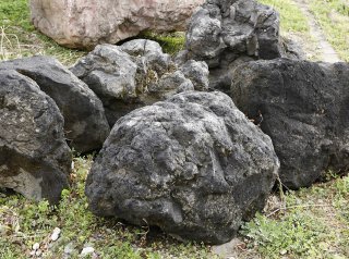 浅間石（500-600mm）