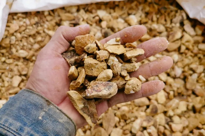 ޡ֥֥饦󥯥å(5-20mm)