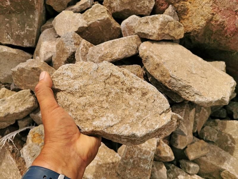 気良石小端(幅100-300mm、高さ40-100mm 奥行150mm内外)<価格 気良石小端(幅100-300mm、高さ40-100mm 奥行150mm内外)<価格
