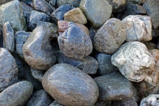 仁淀（によど）川石100-200mm＜価格,サイズ,色＞｜庭ガーデニングの粋