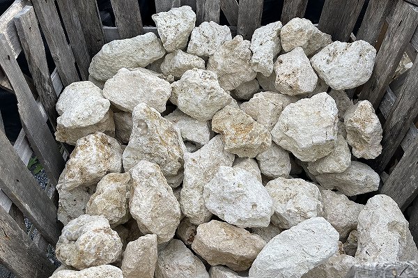 琉球ロック（100-250mm）＜価格,サイズ,色＞｜庭ガーデニングの粋で