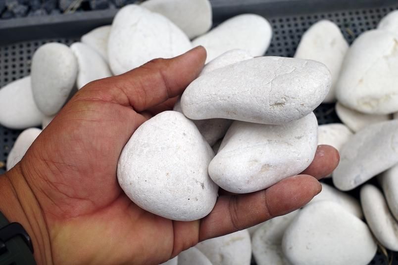 丸い石 ワーホリ】神秘の丸い石・モエラキボールダーズ - 旅と、ごはんと