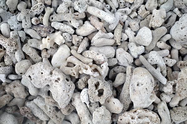 ポーラスペブル赤 20-30mm＜価格,サイズ,色＞｜庭ガーデニングの粋で