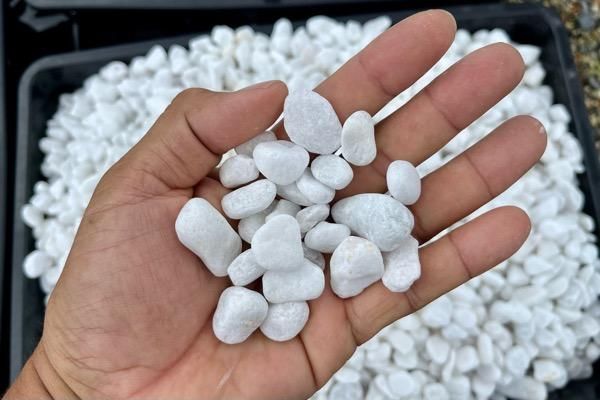 ホワイトコブル 15-20mm＜価格,サイズ,色＞｜庭ガーデニングの粋で