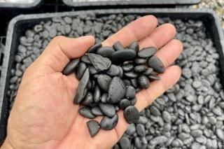 商品検索 - 庭のリフォーム・DIYで使う粋でおしゃれな石の専門店 商品検索 - 庭のリフォーム・DIYで使う粋でおしゃれな石の専門店