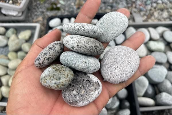 タマゴ型の石 たまご型の石たち – kuwa works