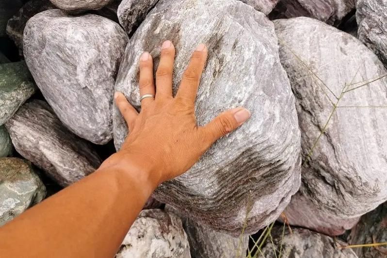 紅簾（すだれ）ごろた石 300-350mm＜価格,サイズ,色＞｜庭ガーデニング