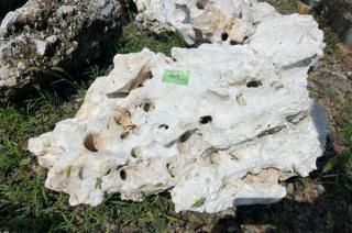 コーラルロック ④ w800*d650*h600mm 【一点もの】｜庭ガーデニングの