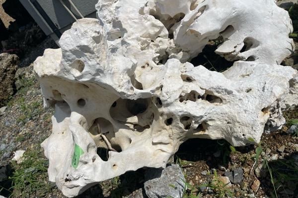 さざれ石／岐阜県産。前、出品の物より僅かに大きいです。【天然石・希少】。 さざれ石／岐阜県産。前、出品の物より僅かに大きいです