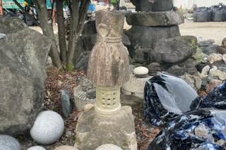 虫食い 三波石 1.630キロ 庭石 鑑賞石 石 庭 ガーデニング 置物