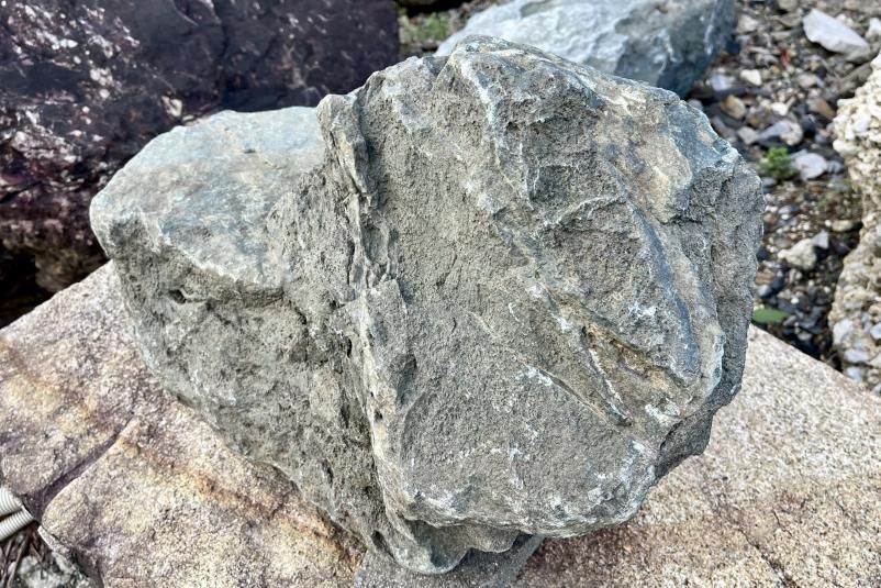 酒絞石［1］【一点もの】 水石｜庭ガーデニングの粋でおしゃれな石の