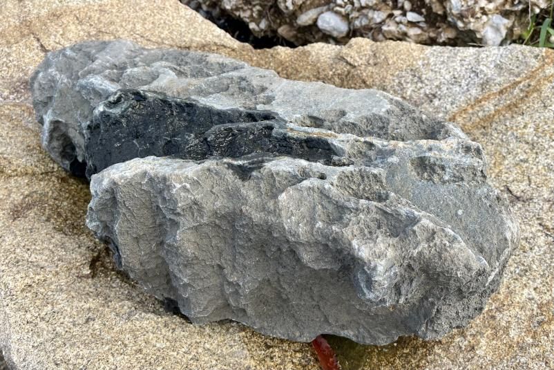 京都・紅加茂石 ① 【一点もの】 ｜庭ガーデニングの粋で