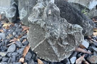 3718 粕川酒絞石 溜まり石12.82kg 入賞歴有水石 盆栽 盆石 置物 2025年